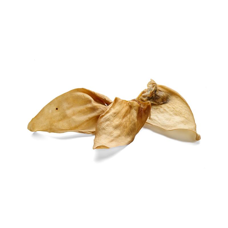 Rinder-Ohr ohne Muschel Gr. L