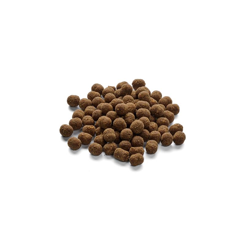 Pferde Mini Fleischbällchen