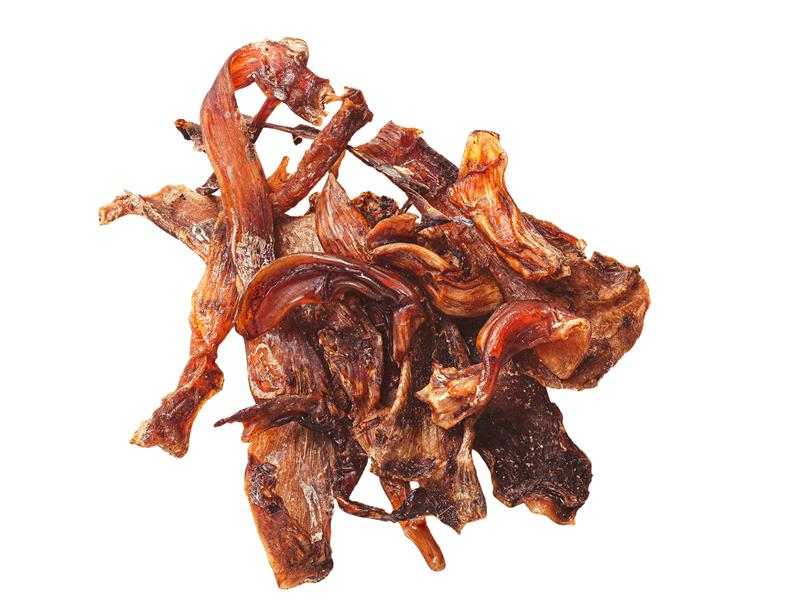 Straußen Sehne, kurz