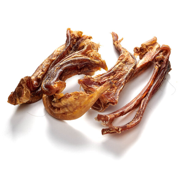 Pferde-Achillessehne