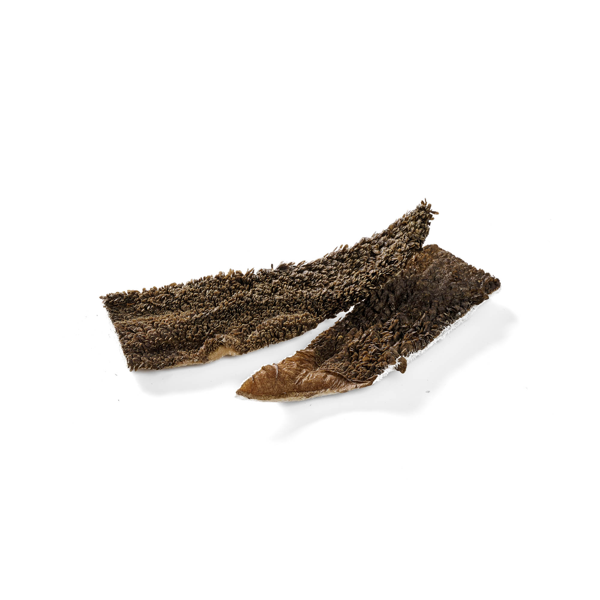 Rinder Pansen grün gefriergetrocknet