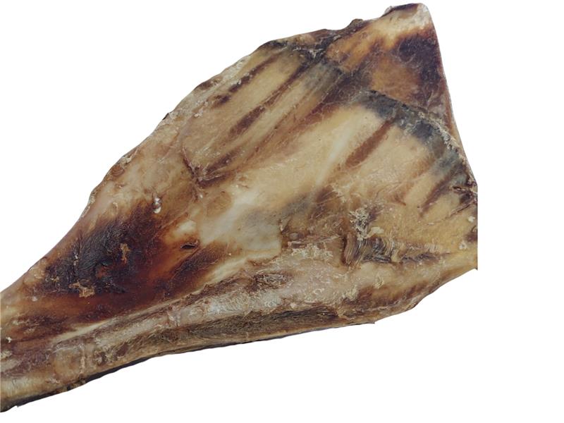 Rinder-Schulterblatt Giant